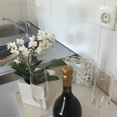 Linden Garden 公寓 波斯托伊纳